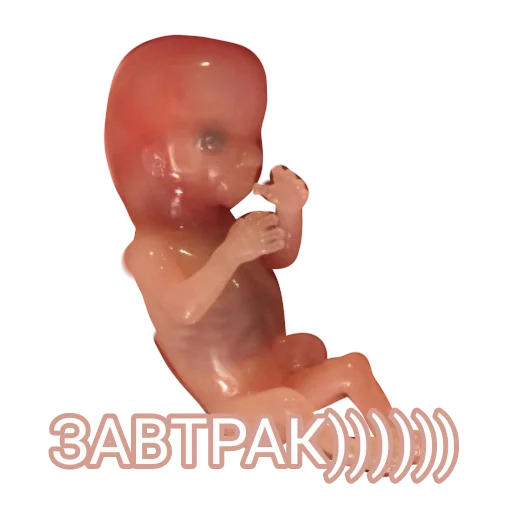 Стикер prrokladki - 1