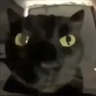 Sticker Жекин ну типа - 7