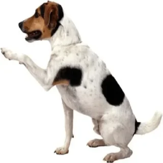 Стикер щены - 6