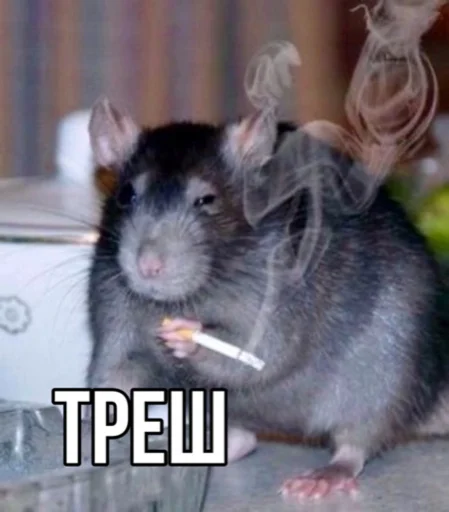 Sticker псих бригада ору - 6