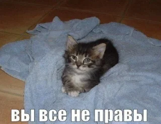 Sticker психоняшка @succubusleyn - 9