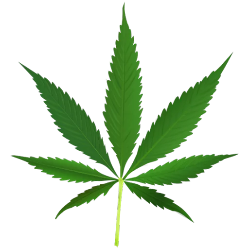 hemp cannabis leaf