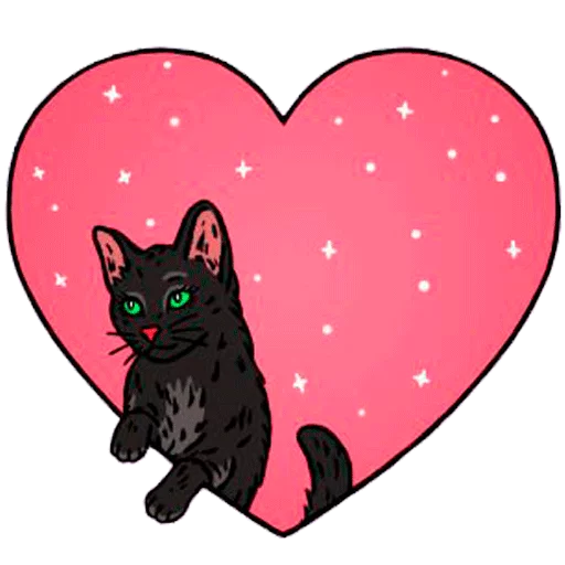 кошка животное сердце