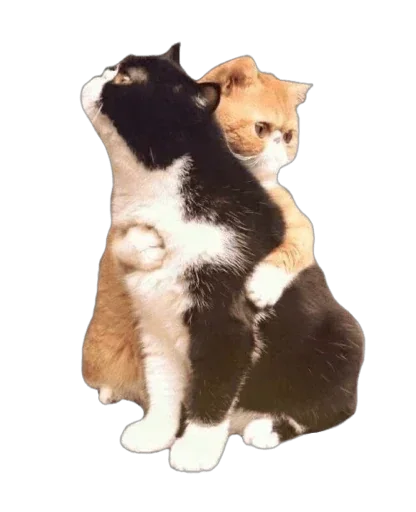 Sticker ptiOoURwjVGMe_by_stickers_stealer_bot - 1