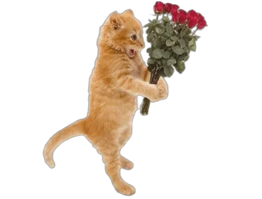 Sticker ptiOoURwjVGMe_by_stickers_stealer_bot - 1