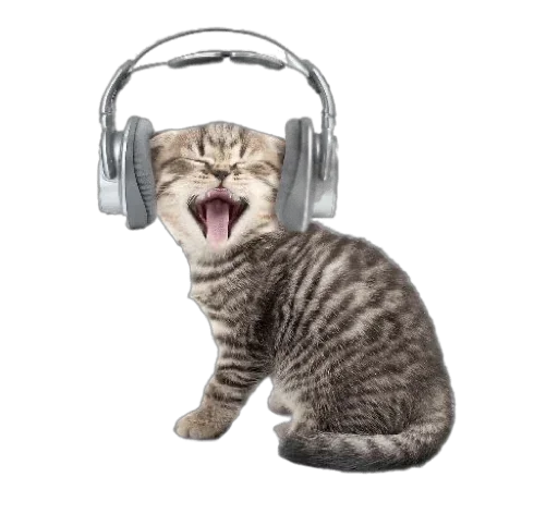 Sticker ptiOoURwjVGMe_by_stickers_stealer_bot - 1