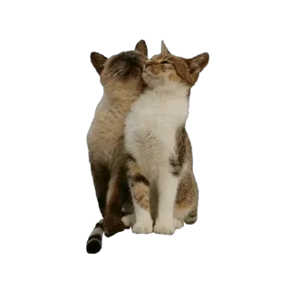 Стикер Больше стикеров 👉🏻 @stickertg4 - 8