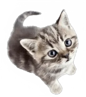 Стикер Больше стикеров 👉🏻 @stickertg4 - 3