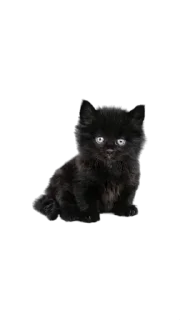 Стикер Больше стикеров 👉🏻 @stickertg4 - 5