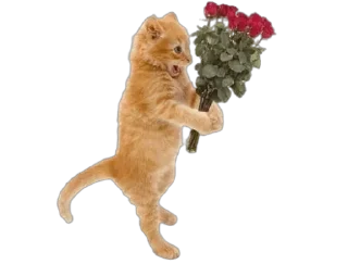 Стикер Больше стикеров 👉🏻 @stickertg4 - 6