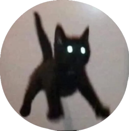 кошки малого и среднего размера чёрная кошка кошачьи