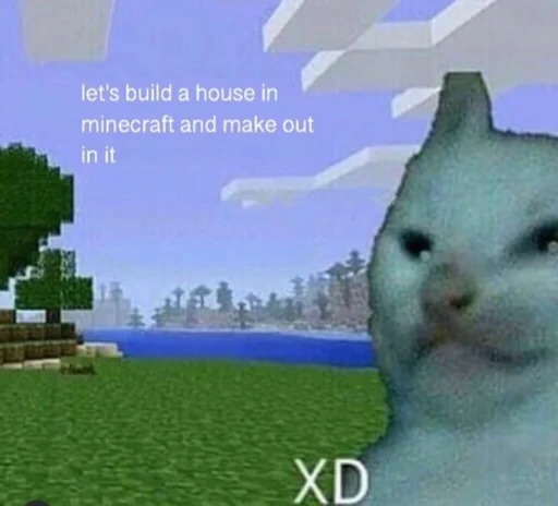 СМС кошка млекопитающее