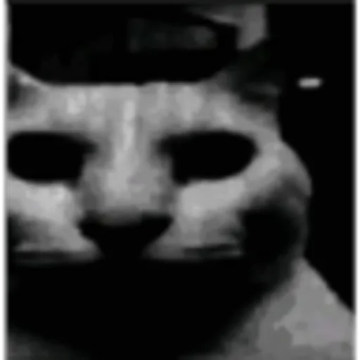 Валера р8 моя вайфу - 