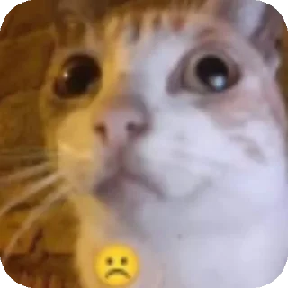 Sticker Валера р8 моя вайфу - 4