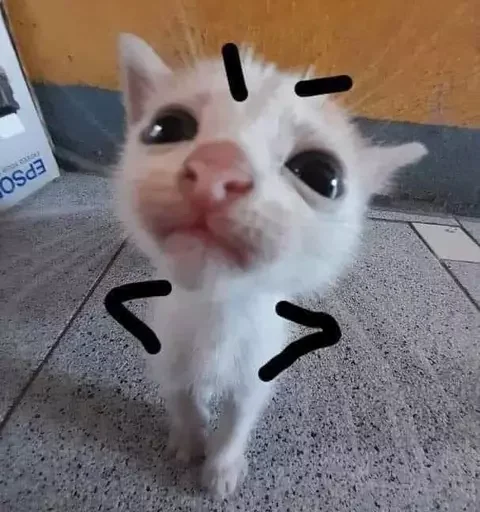 🍡  ꒰ ´ᗜ`๑ ꒱  пудинк!! ᶻ @WATATSUMI34 - 