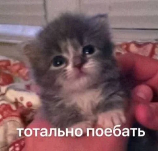 Sticker puddingchann - 1