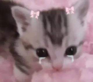 Стикер 🍡  ꒰ ´ᗜ`๑ ꒱  пудинк!! ᶻ @WATATSUMI34 - 6