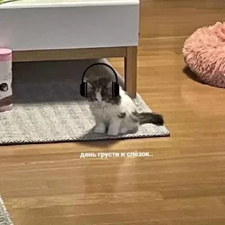 Стикер 🍡  ꒰ ´ᗜ`๑ ꒱  пудинк!! ᶻ @WATATSUMI34 - 3