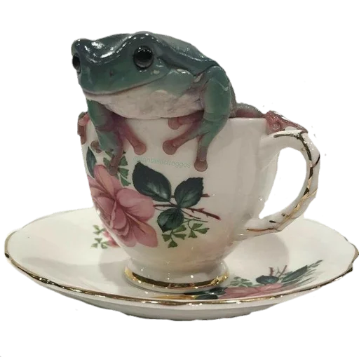 керамический сервировка фарфор