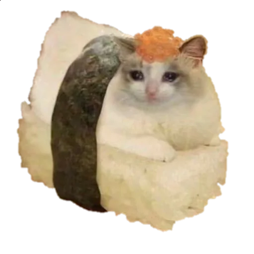 кошки малого и среднего размера млекопитающее животное