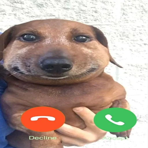 Sticker pukikaki29 - 1