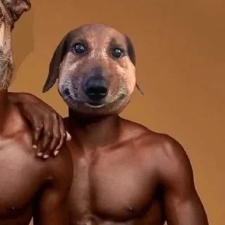 Стикер pukikaki - 4