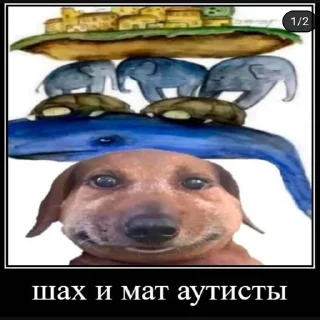 Стикер pukikaki - 3