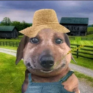 Стикер pukikaki - 7