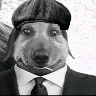 Стикер pukikaki - 5