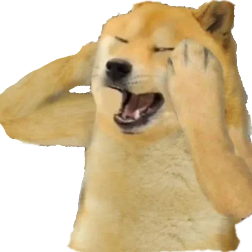 Sticker Puk Puk :: @fStikBot - 10