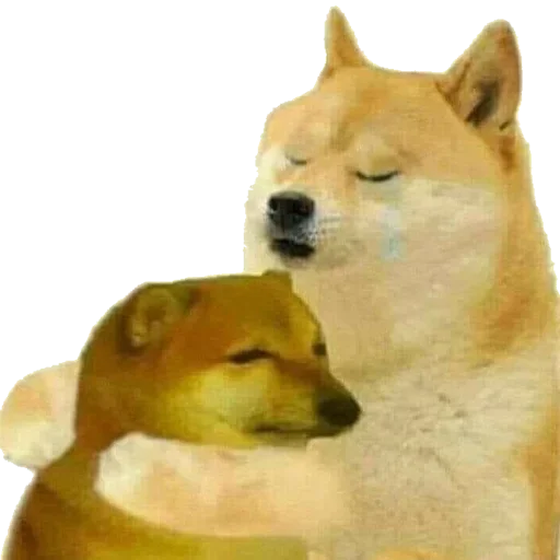 Sticker Puk Puk :: @fStikBot - 7