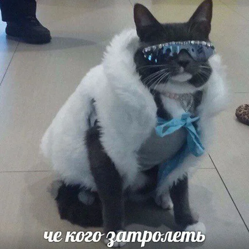 Sticker пук пук пук — @ukrainianrzhekich - 0