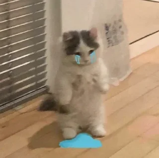 Sticker психічне порушення - 10