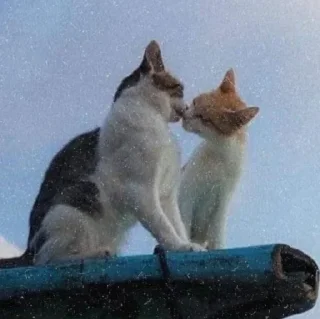 Sticker психічне порушення - 8