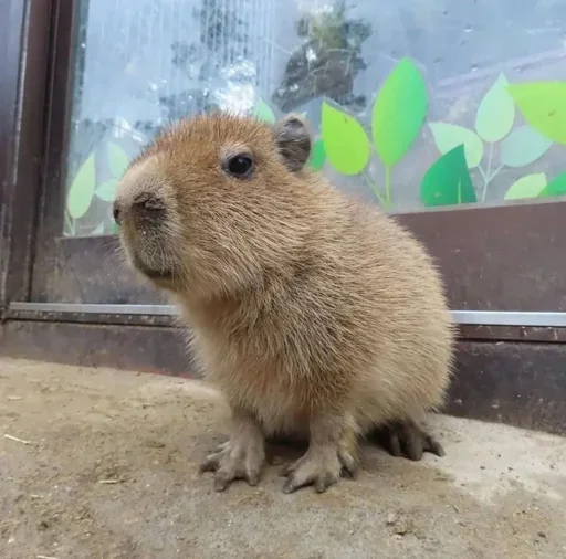 Sticker pulzgposaf_by_e4zybot - 1