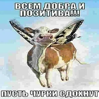 Sticker БОЛЬШЕ СТИКЕРОВ ТУТ @emodziy - 5