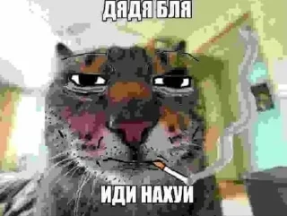 Sticker БОЛЬШЕ СТИКЕРОВ ТУТ @emodziy - 10