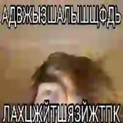 Матвеюшка 2.0 - 