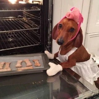 Sticker собачки от лики черники! - 5