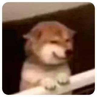 Sticker Зверята для Марины - 5