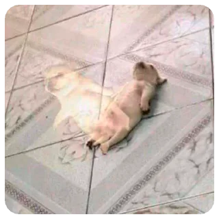 Sticker Зверята для Марины - 7