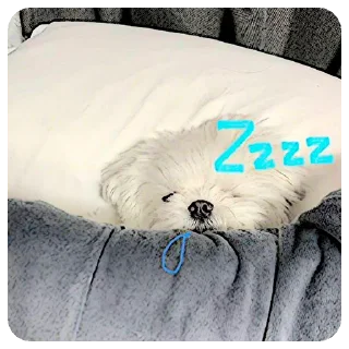 Sticker Зверята для Марины - 11