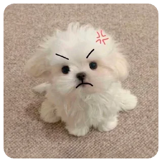 Sticker Зверята для Марины - 6