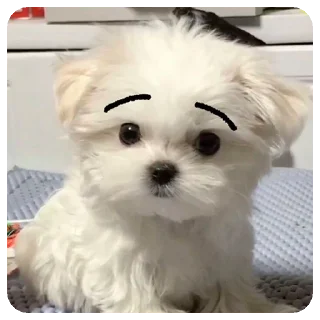 Sticker Зверята для Марины - 9