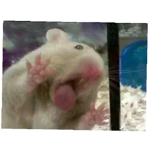 Sticker пупсики - 2