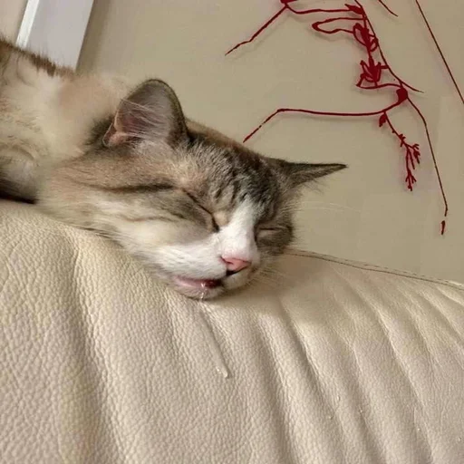 Sticker pupskich - 1