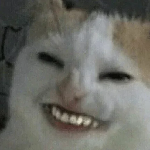 Стикер pupssu - 1