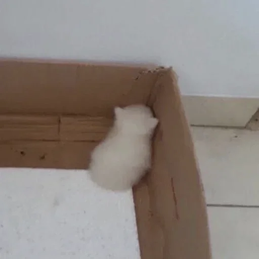 Стикер pupssu - 1