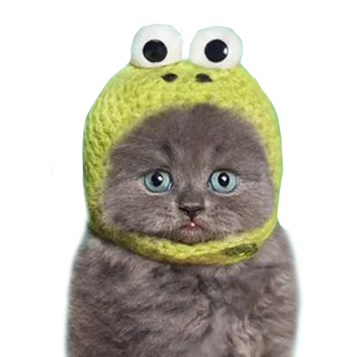 Стикер pusiki_ot_dushi - 1