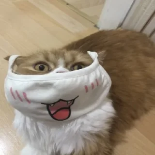 Sticker cat lovers - 8